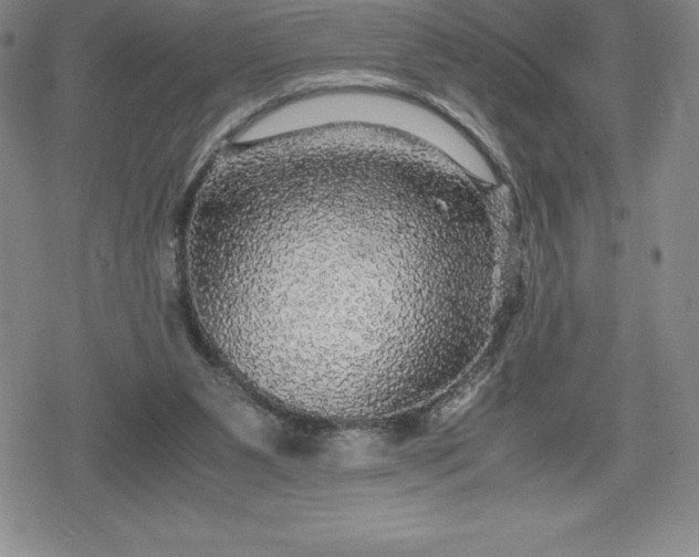 X0000080160111200612221236