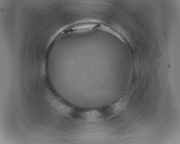 X0000080160112200612221236