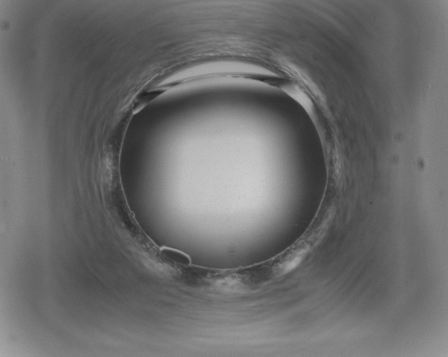 X0000080160113200612221236