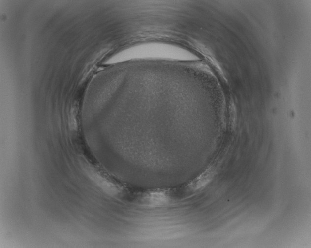 X0000080160114200612221236