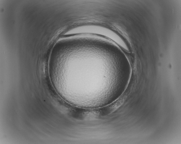 X0000080160115200612221236