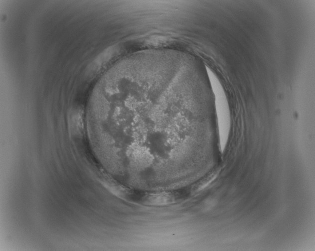 X0000080160127200612221235