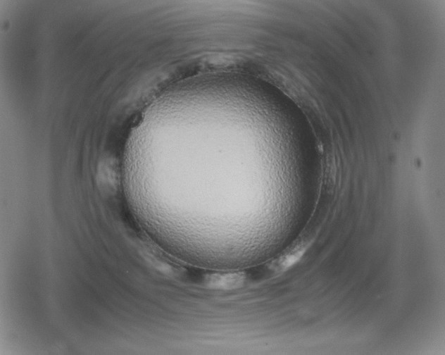 X0000080160135200612221235