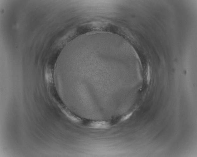 X0000080160137200612221235