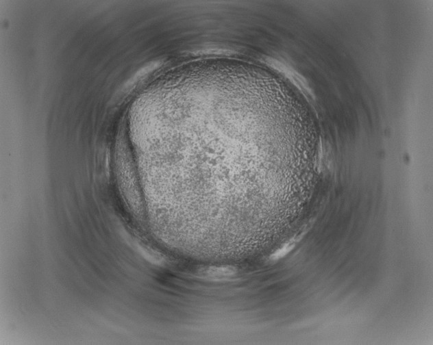 X0000080160157200612221234