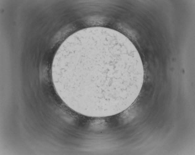 X0000080160162200612221235