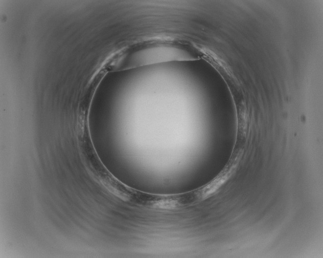 X0000080160168200612221235