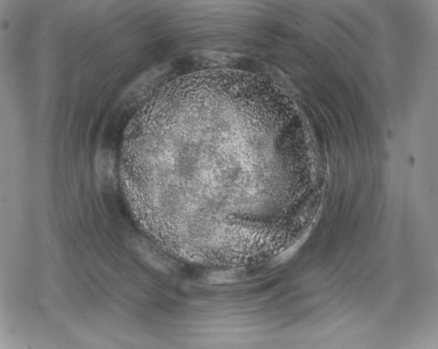 X0000080160178200612221235
