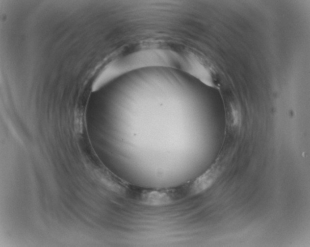 X0000080160180200612221235