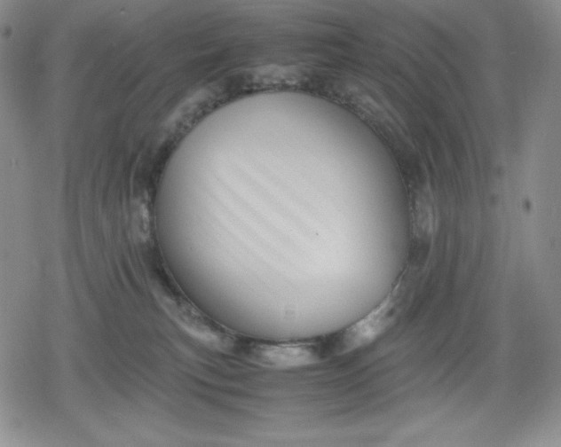 X0000080160183200612221235