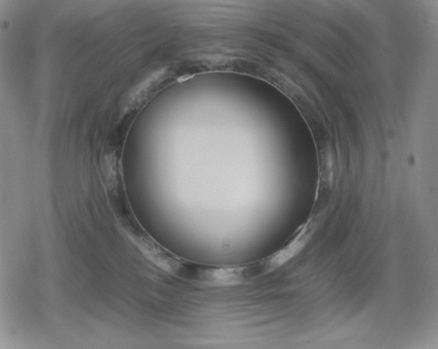 X0000080160184200612221235