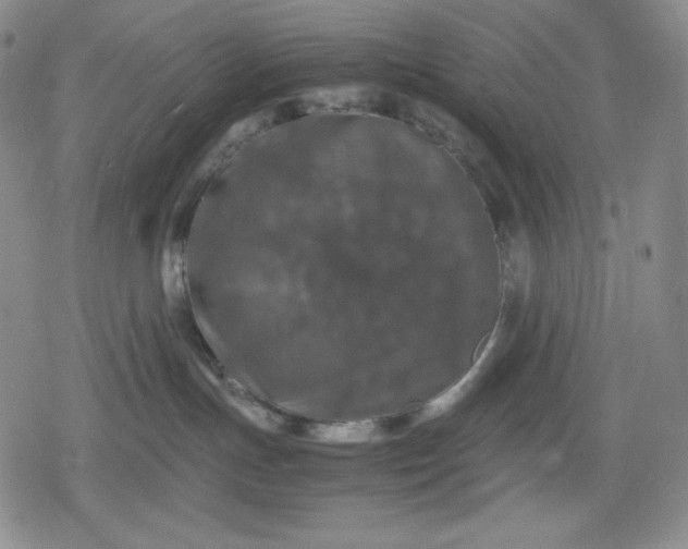 X0000080160191200612221235