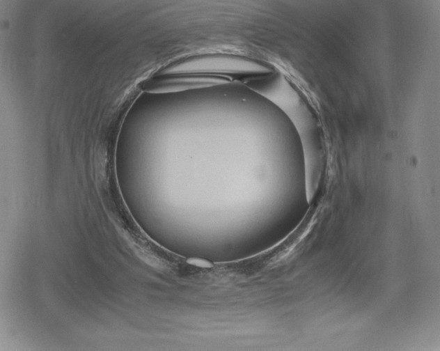 X0000080160201200612221234