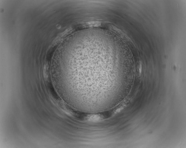 X0000080160218200612221234