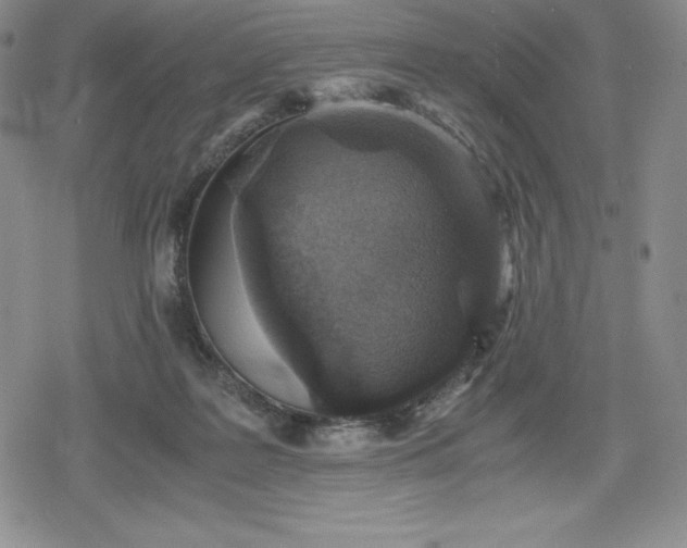 X0000080160219200612221234