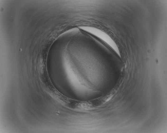 X0000080160223200612221234