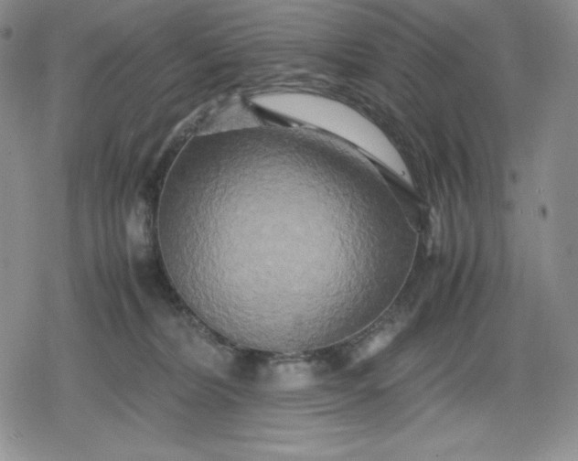 X0000080160228200612221234