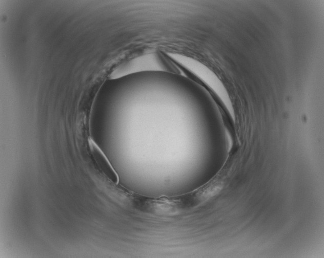 X0000080160229200612221234