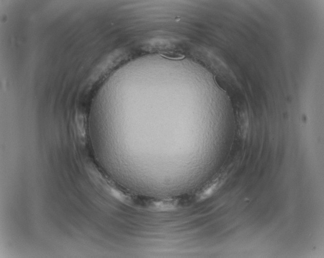 X0000080160232200612221234