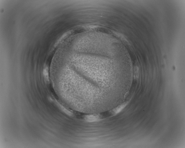 X0000080160238200612221234