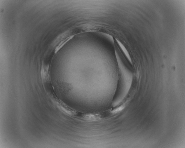 X0000080160239200612221234
