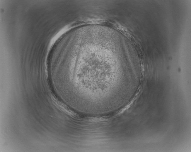 X0000080160246200612221233