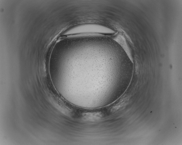 X0000080160251200612221233