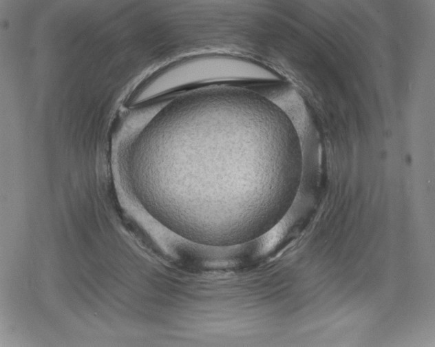 X0000080160252200612221233