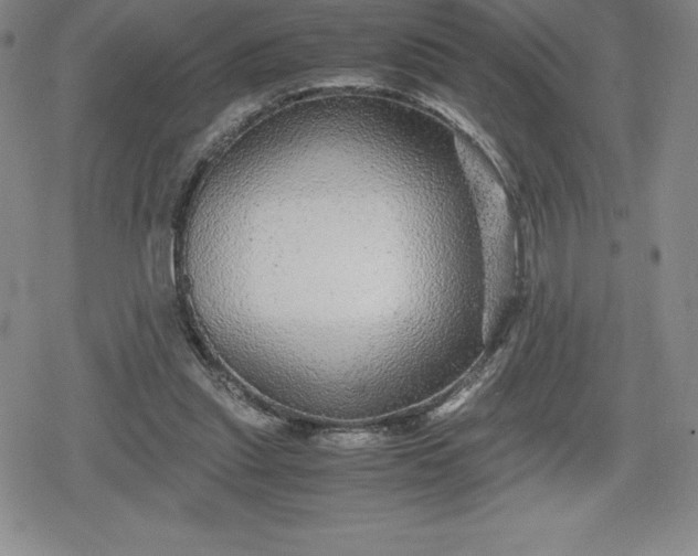 X0000080160253200612221233