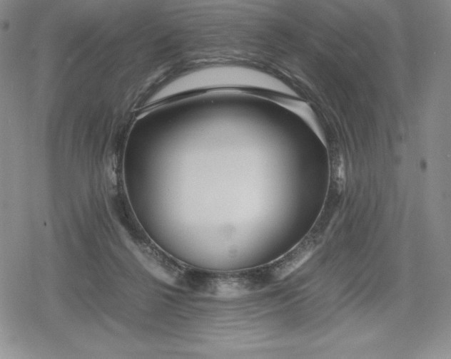 X0000080160264200612221233