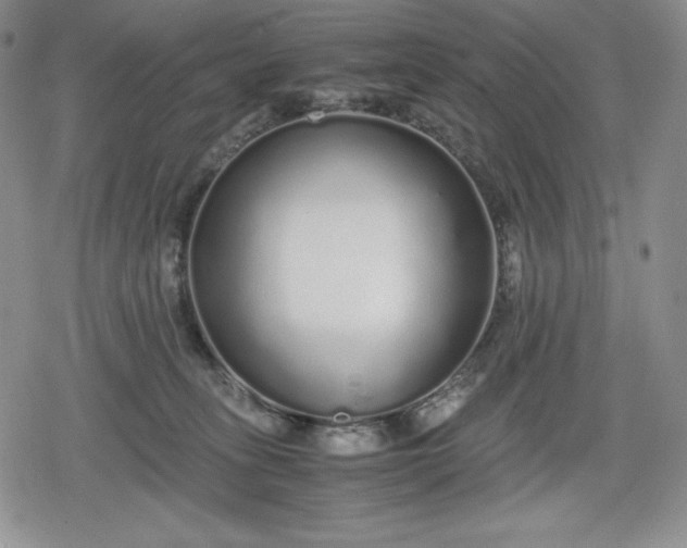 X0000080160275200612221233