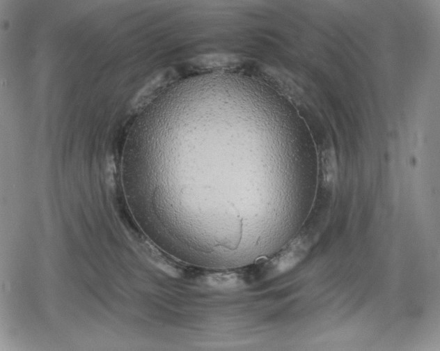 X0000080160279200612221233