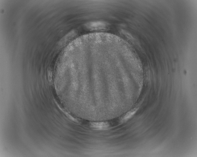 X0000080160281200612221233