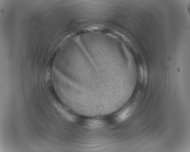 X0000080160284200612221233