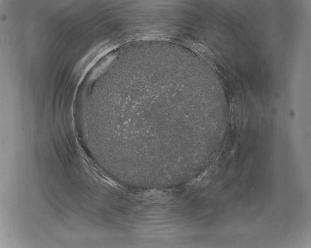 X0000080160290200612221233