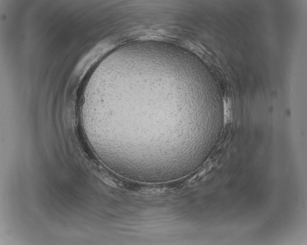 X0000080160291200612221233
