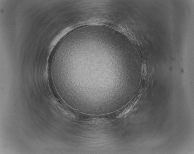 X0000080160292200612221233