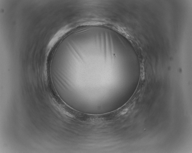 X0000080160296200612221233