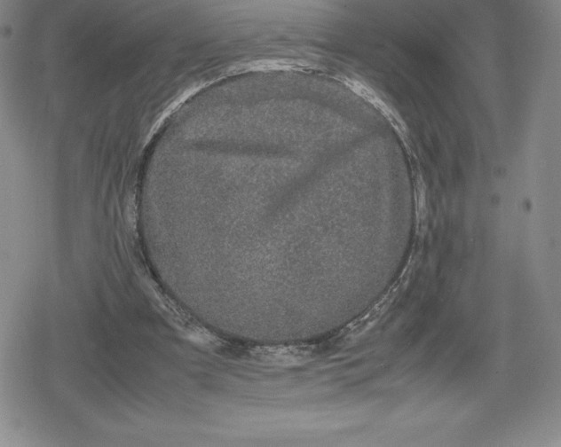 X0000080160297200612221233