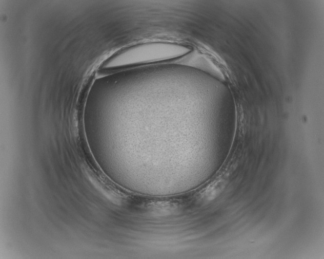 X0000080160298200612221233