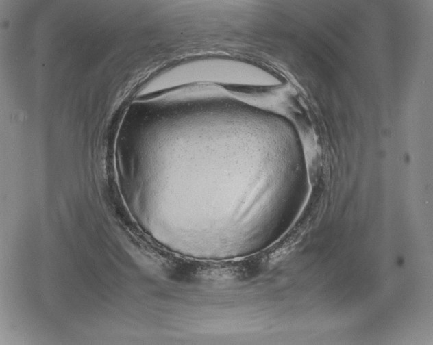 X0000080160299200612221233