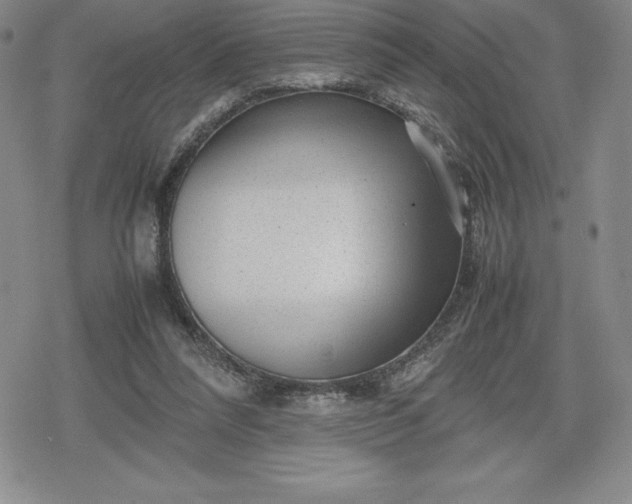 X0000080160304200612221232