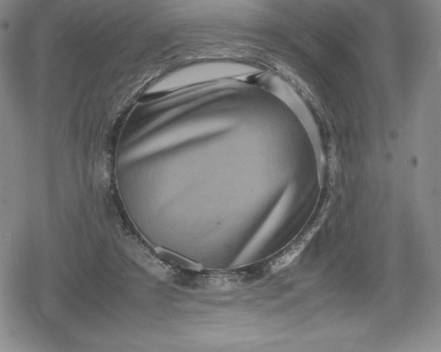 X0000080160305200612221232