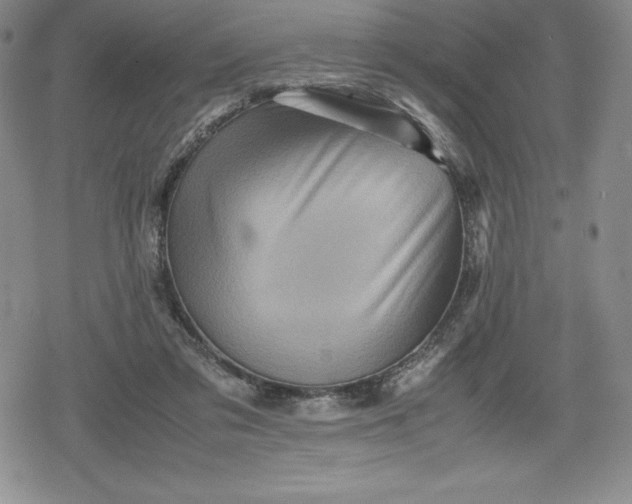 X0000080160309200612221232