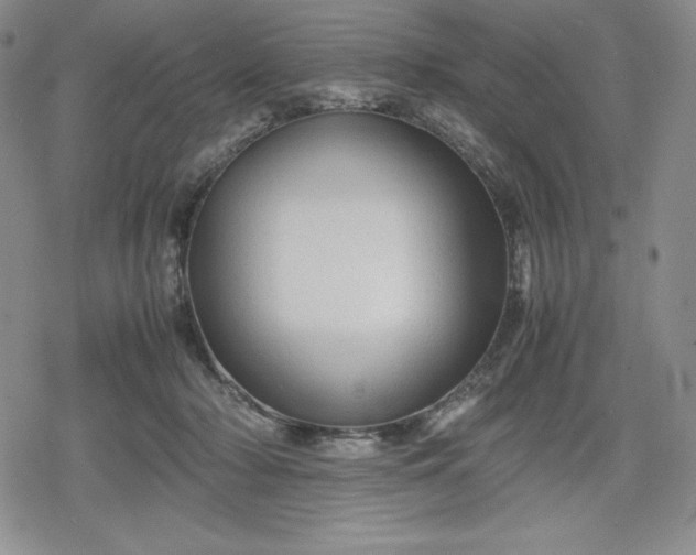 X0000080160318200612221232