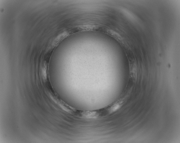 X0000080160334200612221232