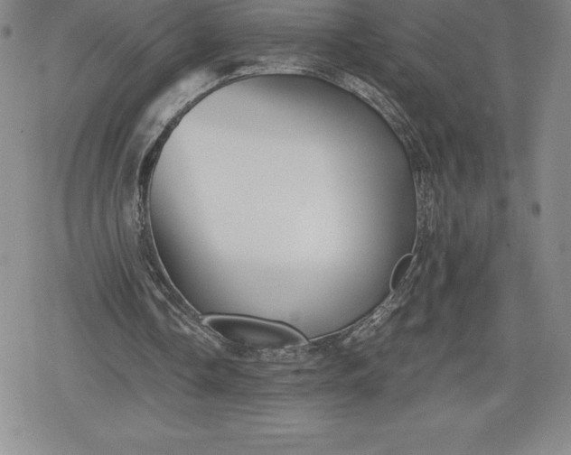 X0000080160338200612221231