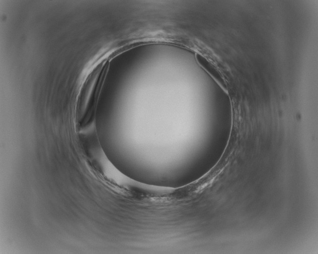 X0000080160344200612221231