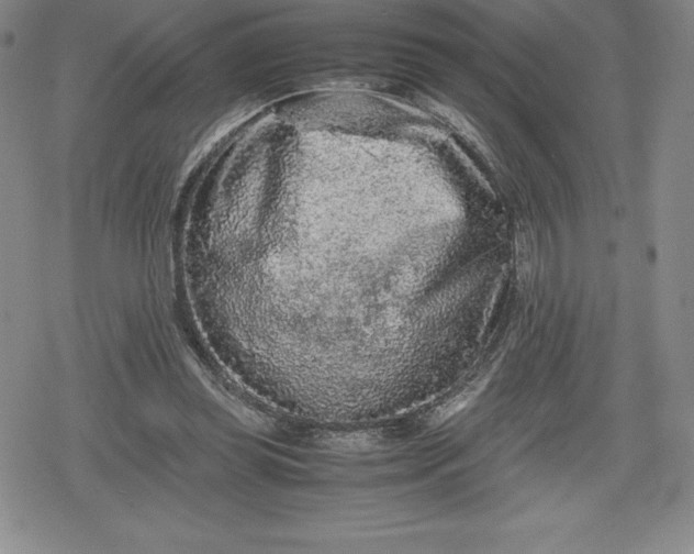 X0000080160349200612221231