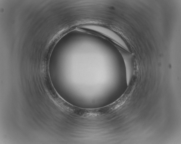 X0000080160352200612221231